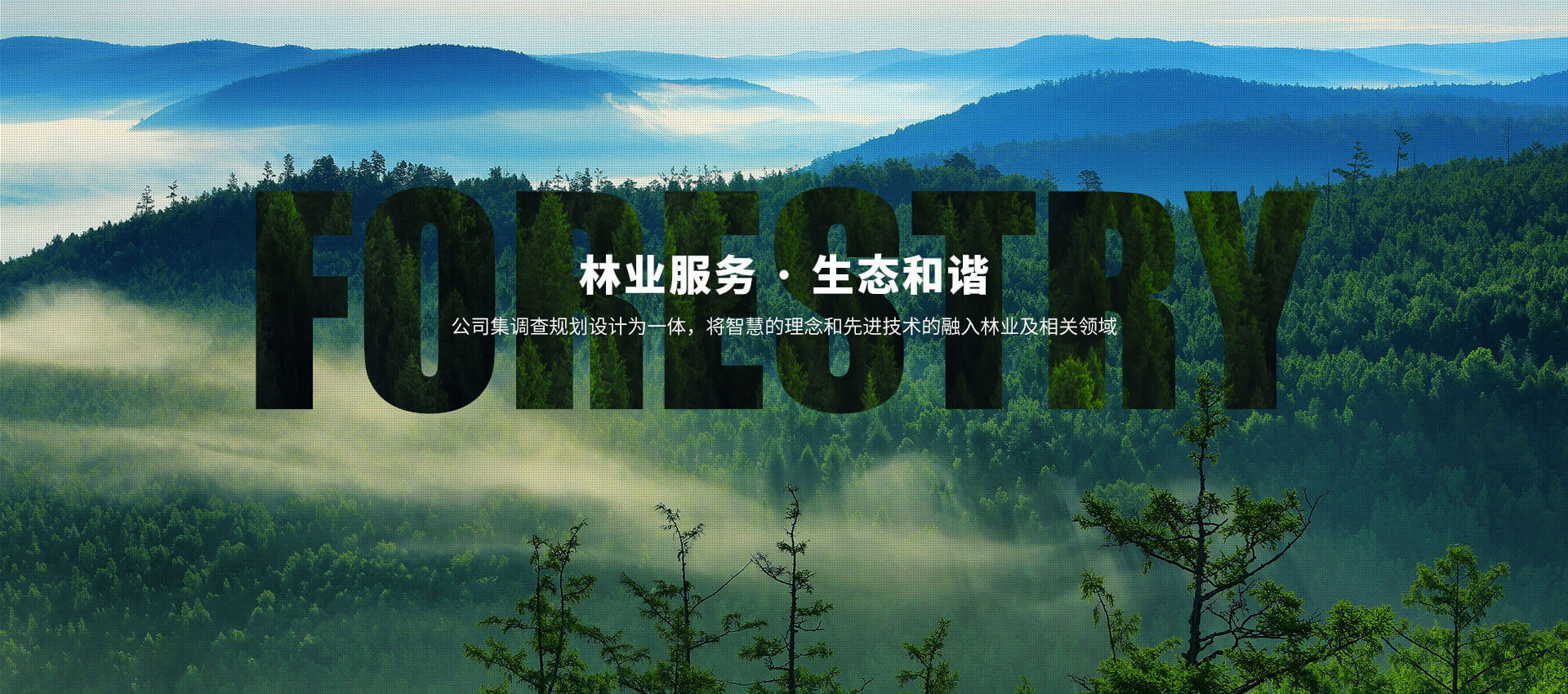 河南j9九游真人客户端林业技术服务有限公司